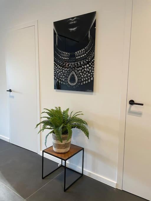 Chic, Luxe Loftstijl In * Ostende