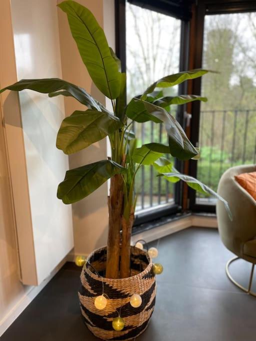 Apartment Chic, Luxe Loftstijl In