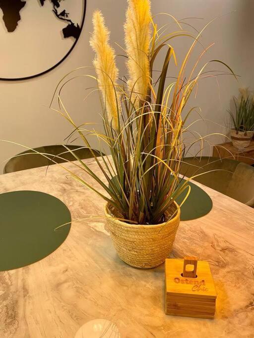 Chic, Luxe Loftstijl In *